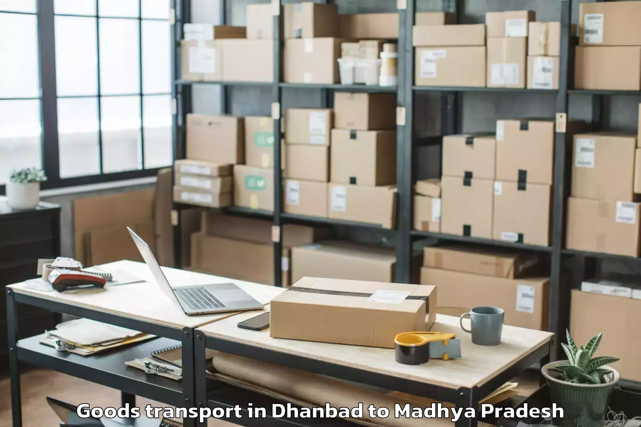 Discover Dhanbad to Mandsaur Goods Transport